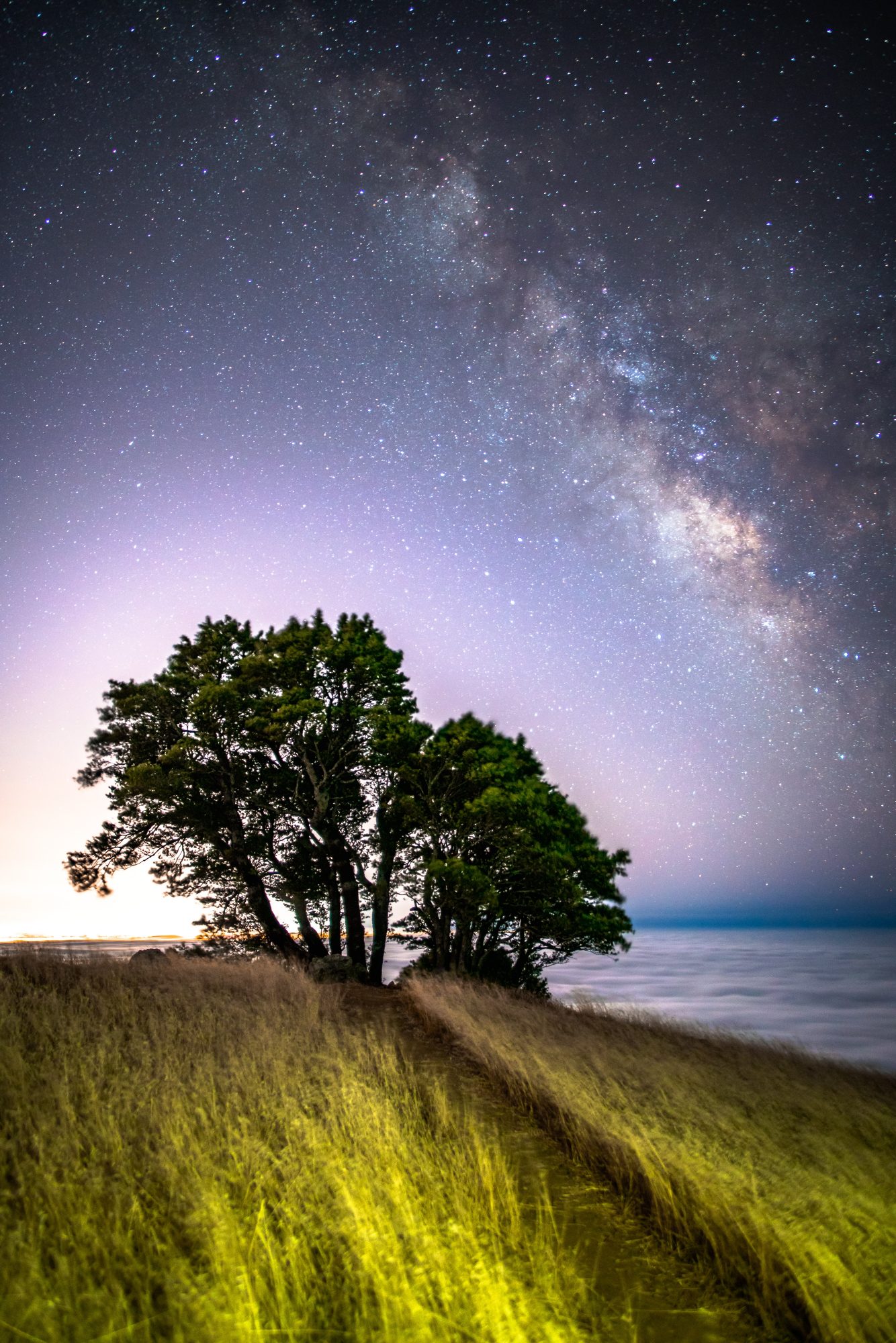 the milky way over a sea of fog from mt tamalpais in mill valley california near san francisco | photo by jake landon schwartz