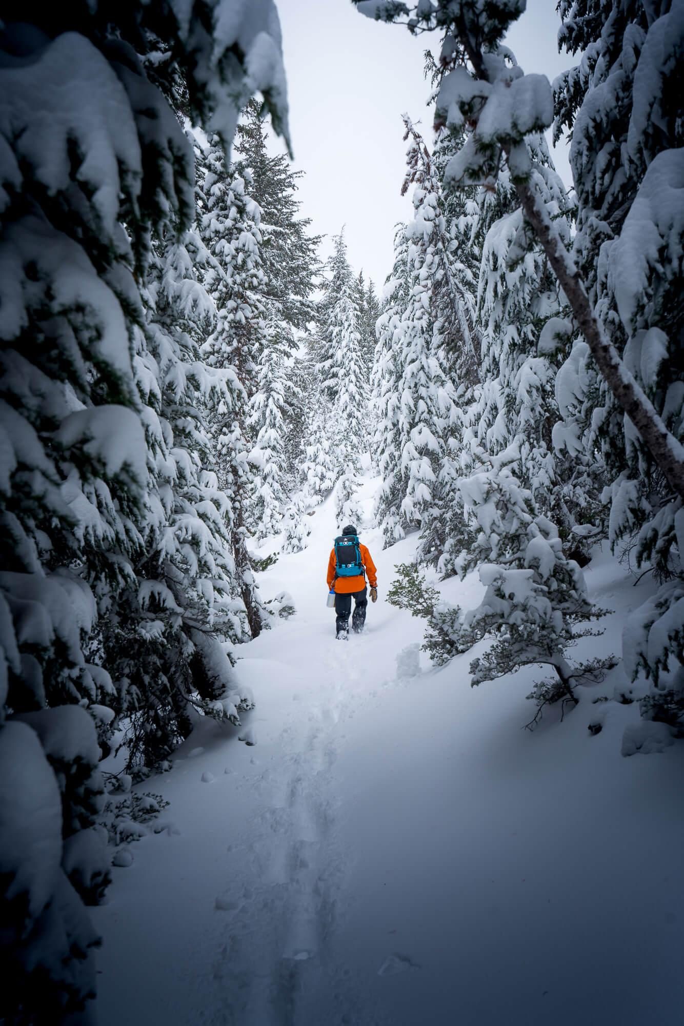 hiking in the snow on crystal lake trail at mammoth california | photo by jake landon schwartz