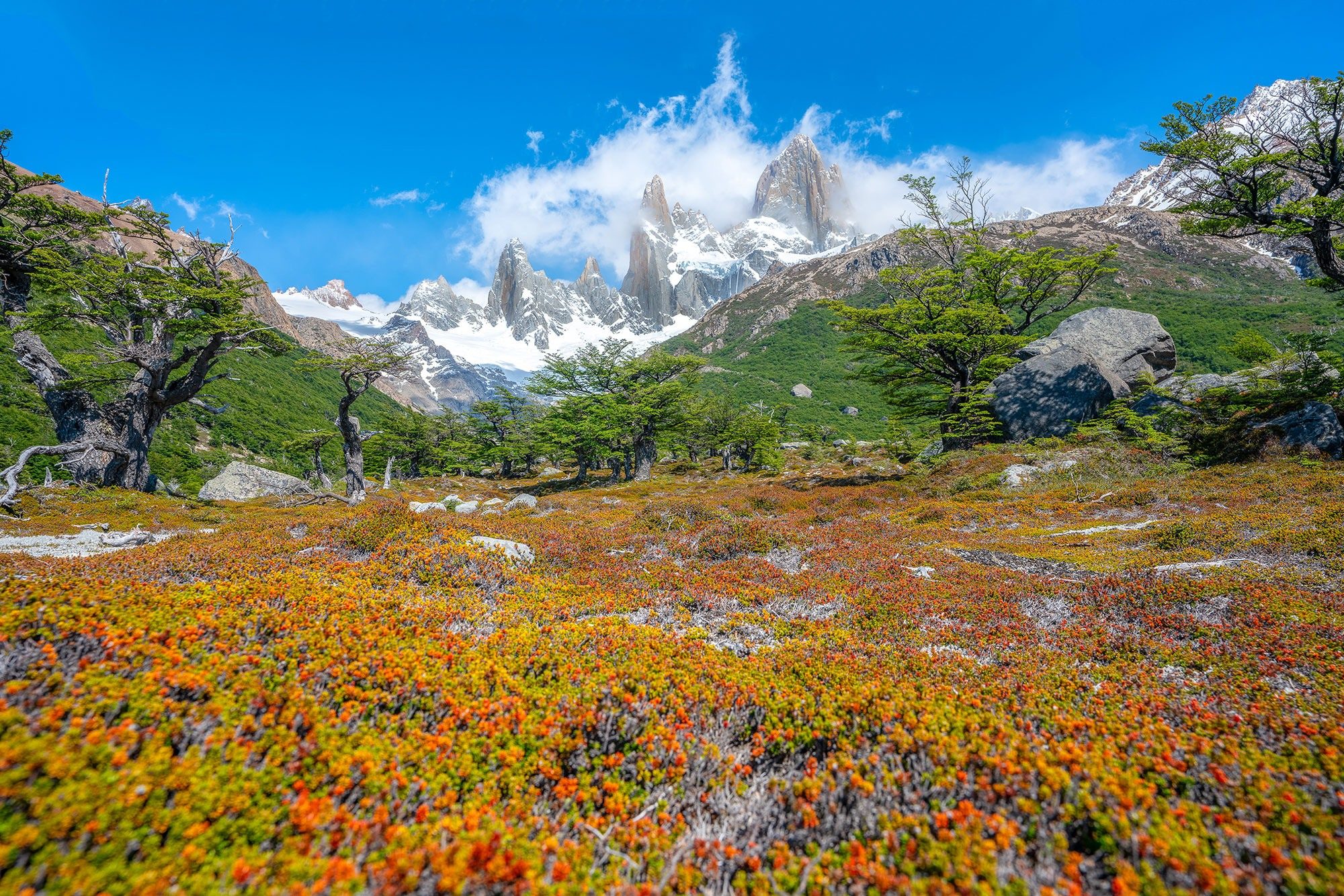 colorful flowers on the ground with mt fitz roy amongst clouds in el chalten argentina patagonia shot with sony a7rii and sony 16-35 gm lens | photo by jake landon schwartz