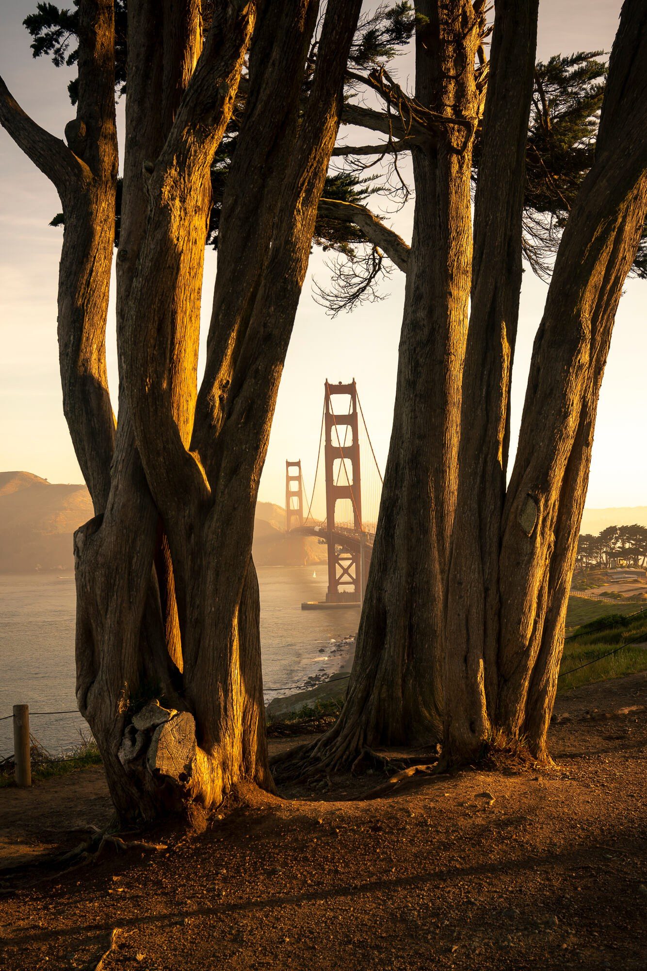 The Golden Gate Bridge during sunrise by Jake Landon Schwartz | photo by jake landon schwartz